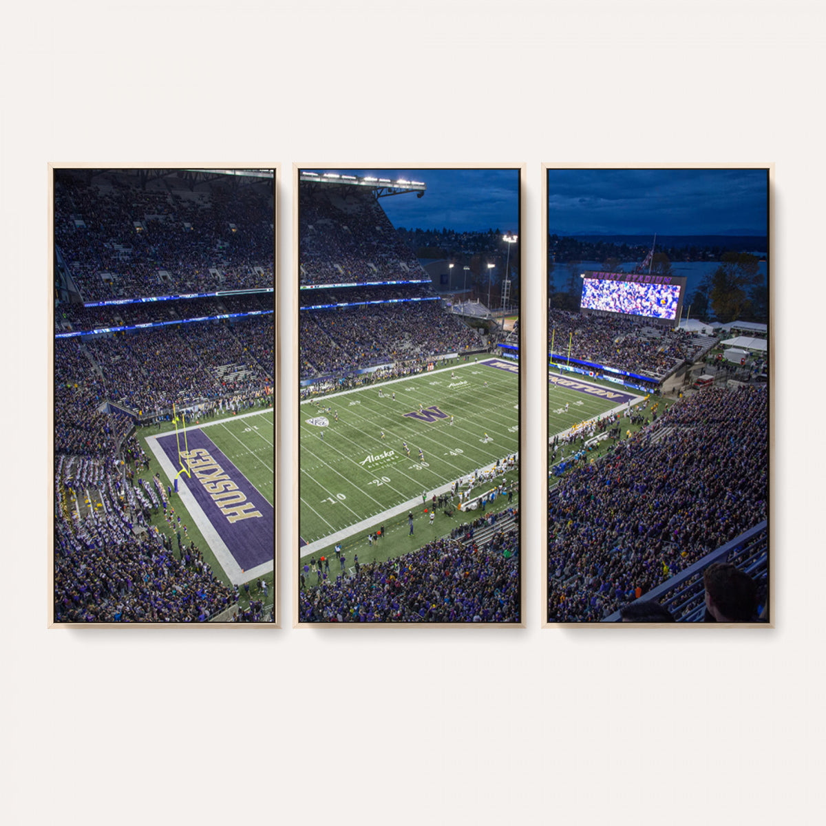 84780-MGV-CV-36X24 - The University of Washington Huskies Football Team Print, Framed and Ready to Hang