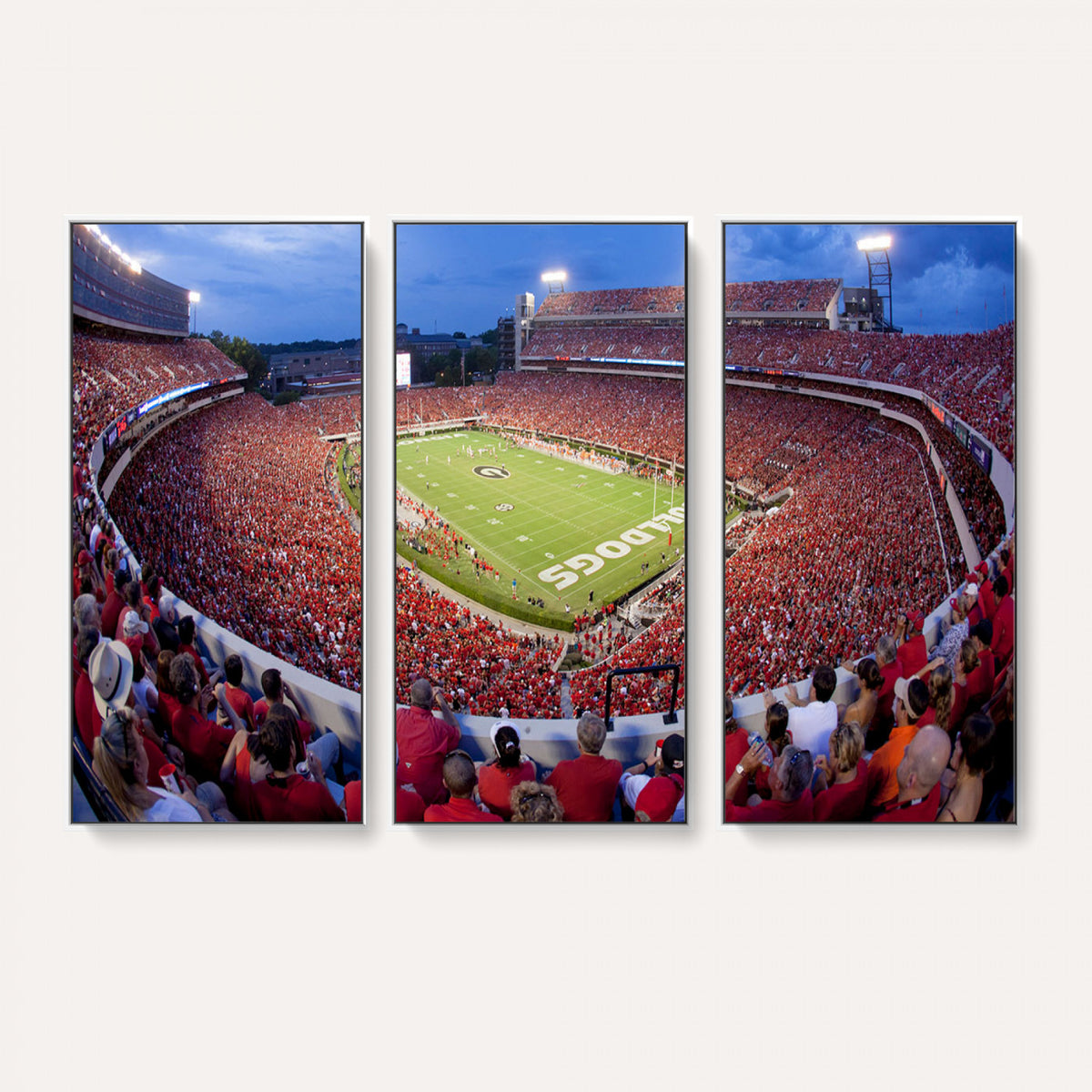 10244378-MGV-CV-36X24 - Dooley Stadium Wall Art, Sports Arena Canvas Print, Dooley Field, Home Bar Wall Decor