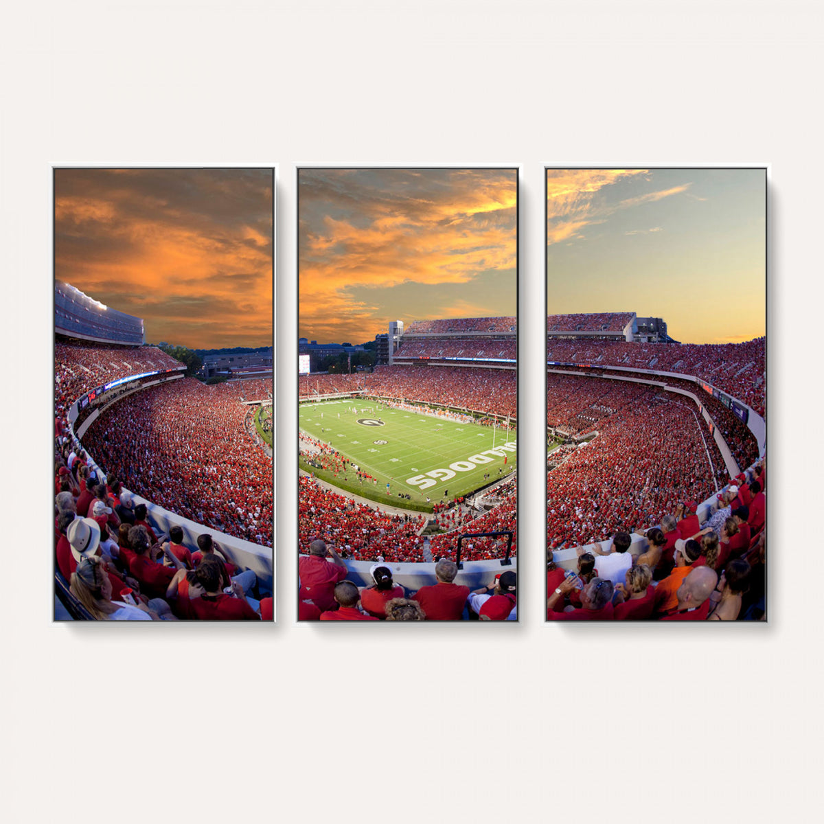 73680988-MGV-CV-36X24 - Dooley Stadium Wall Art, Sports Arena Canvas Print, Dooley Field, Framed and Ready to Hang