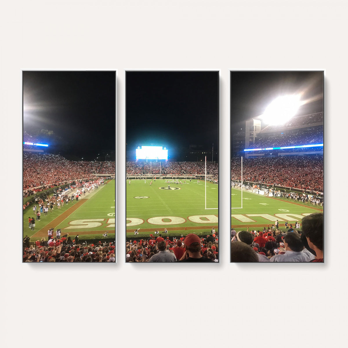 16230786-MGV-CV-36X24 - Dooley Stadium Wall Art, Sports Arena Panoramic Canvas Print, Modern Stadium Landscape Artwork for Home, Office