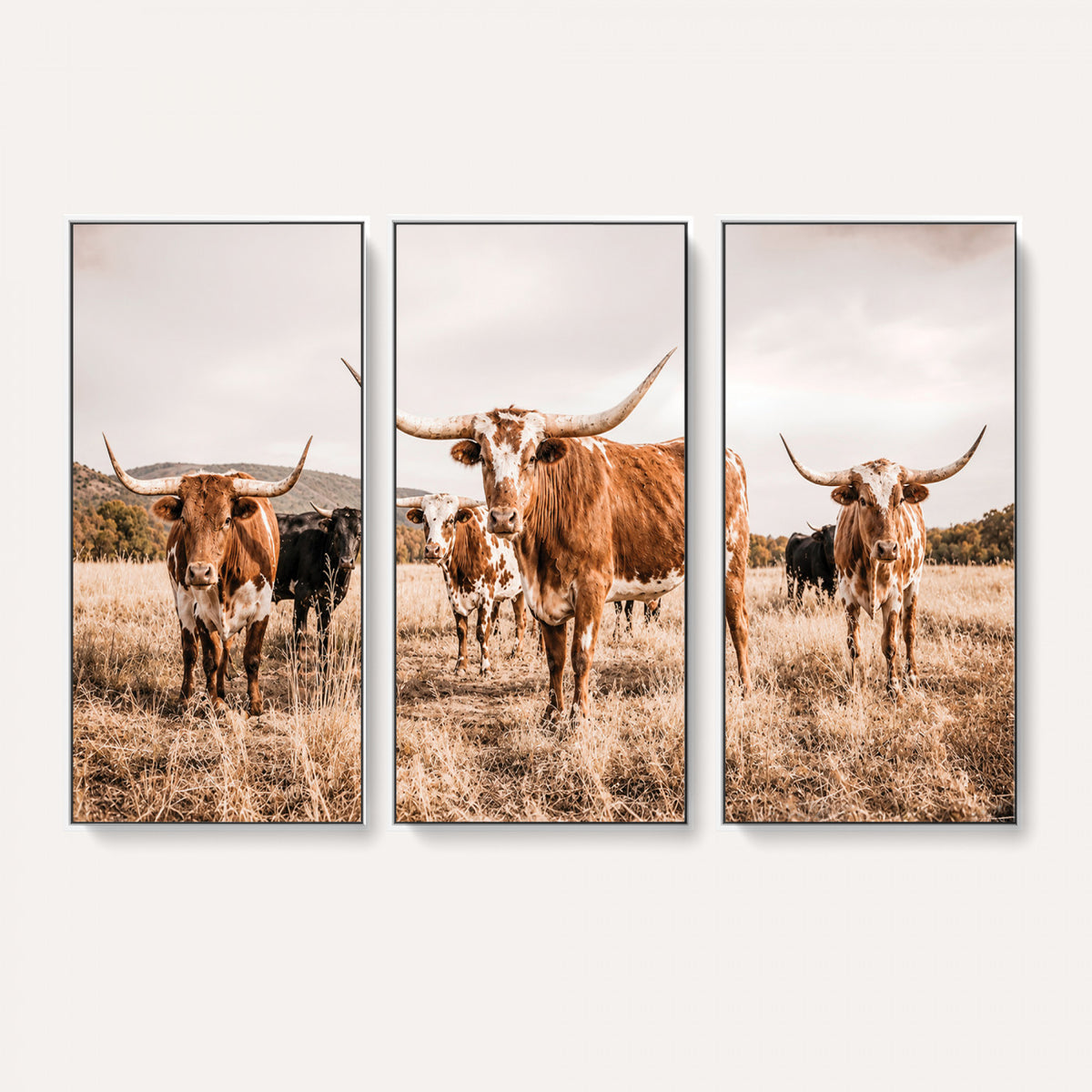 27539727-MGV-CV-36X24 - Texas Longhorn Cattle Wall Art Canvas Print, Sepia Western Decor
