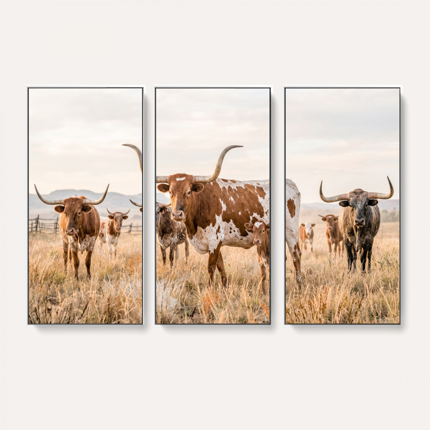 62336425AC-MGV-CV-36X24 - Texas Longhorn Canvas Wall Art, Rustic Farm Animal Photography Print, Farmhouse Country Decor, Western Ranch Art