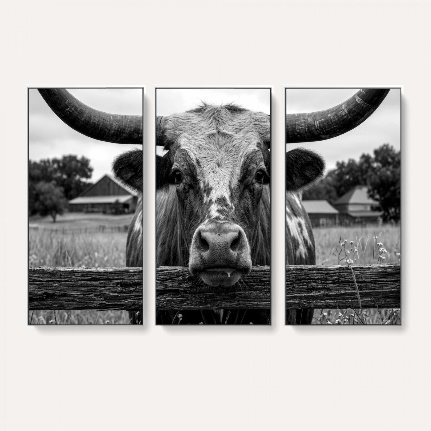 59378683B-MGV-CV-36X24 - Black White Texas Longhorn Bull Canvas Wall Art, Western Ranch Cattle Photography Print, Rustic Farmhouse Cowboy Decor Artwork
