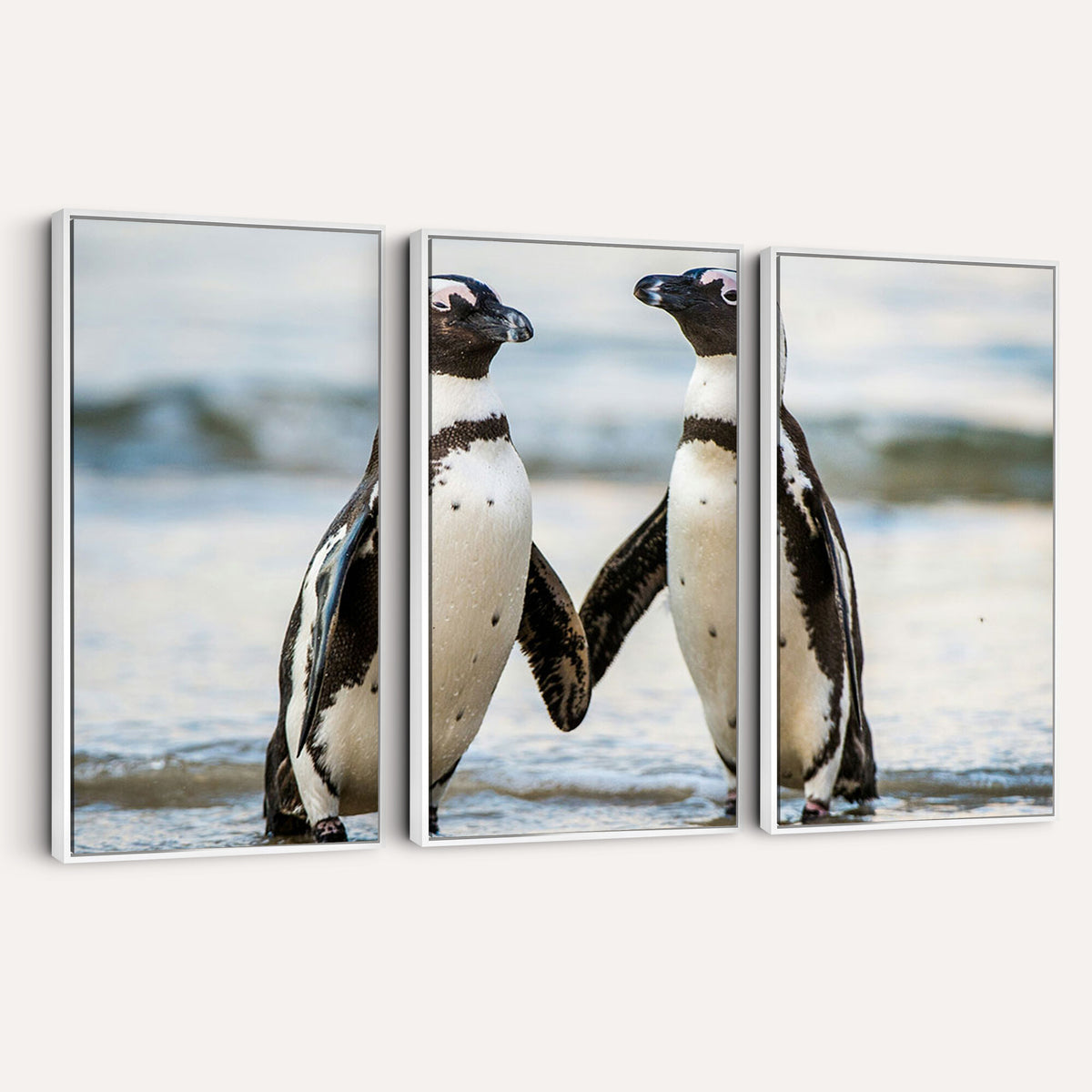 64870405-MGV-TP-30X20 - African Penguins Boulders Beach Wall Art Canvas Print, Cute Penguin Couple Photo Print