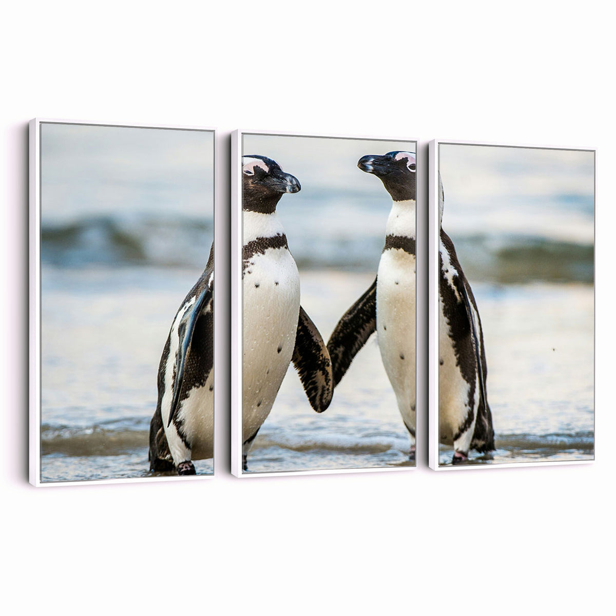 64870405-MGV-TP-30X20 - African Penguins Boulders Beach Wall Art Canvas Print, Cute Penguin Couple Photo Print