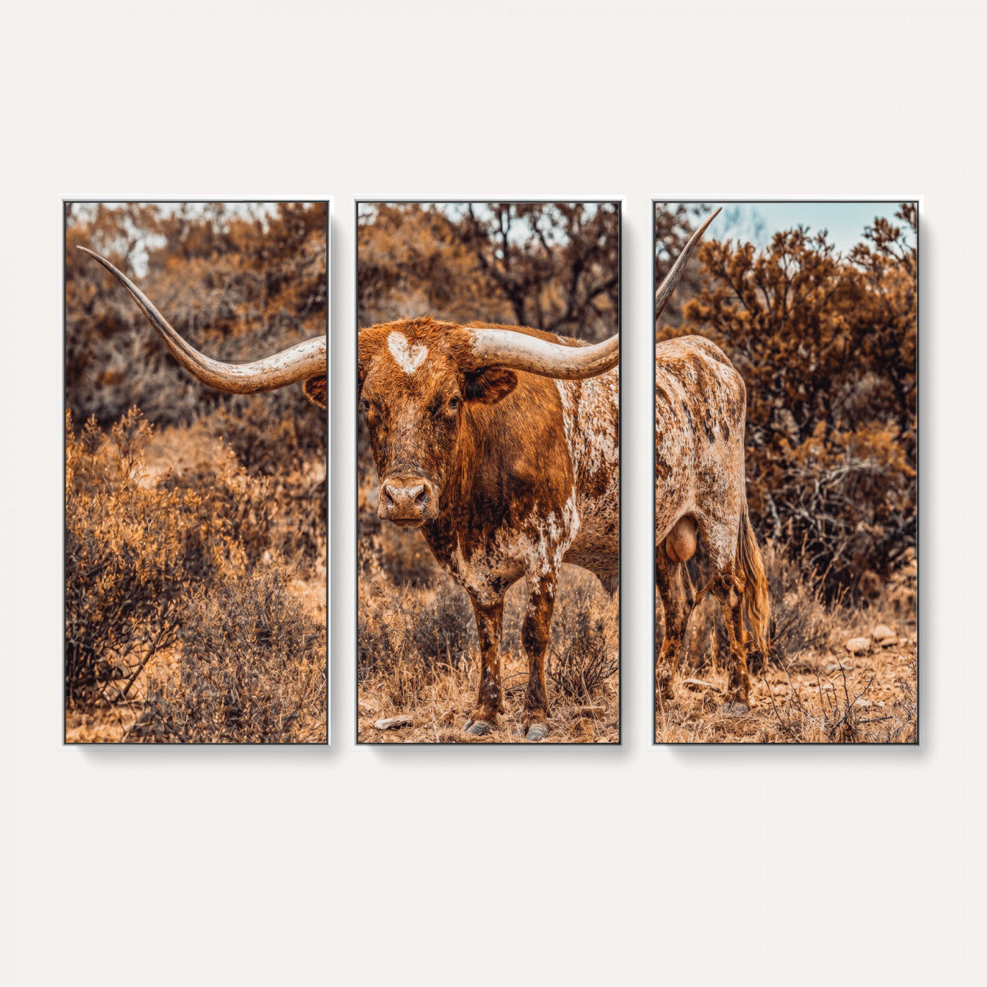 62076449-MGV-CV-36X24 - Texas Cow Bull Longhorn Print for Western Wall Art Decor for Farmhouse