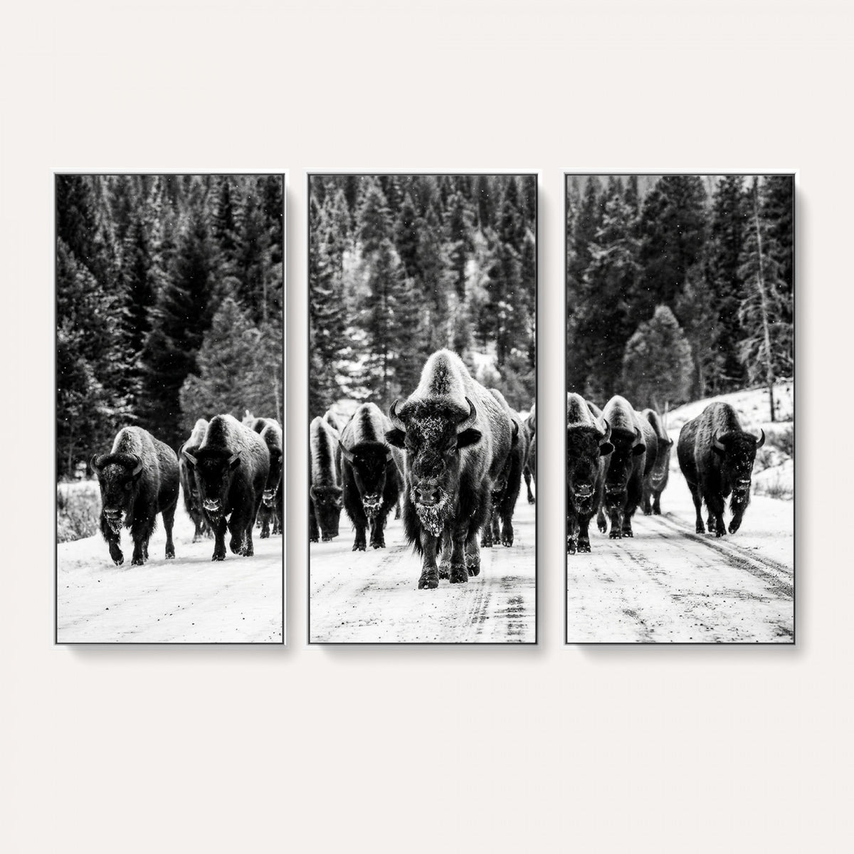 79337077-MGV-CV-36X24 - Black and White Bison Canvas Art, American Buffalo Print, Winter Wildlife Photography, Rustic Forest Wall Decor, Large Statement Nature Gift