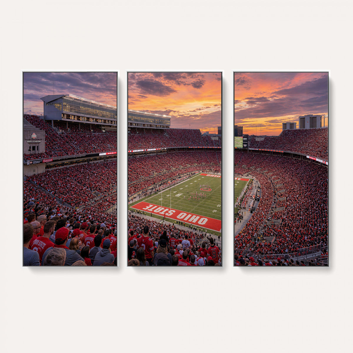 95137596-MGV-CV-36X24 - Stadium Wall Art Canvas Print