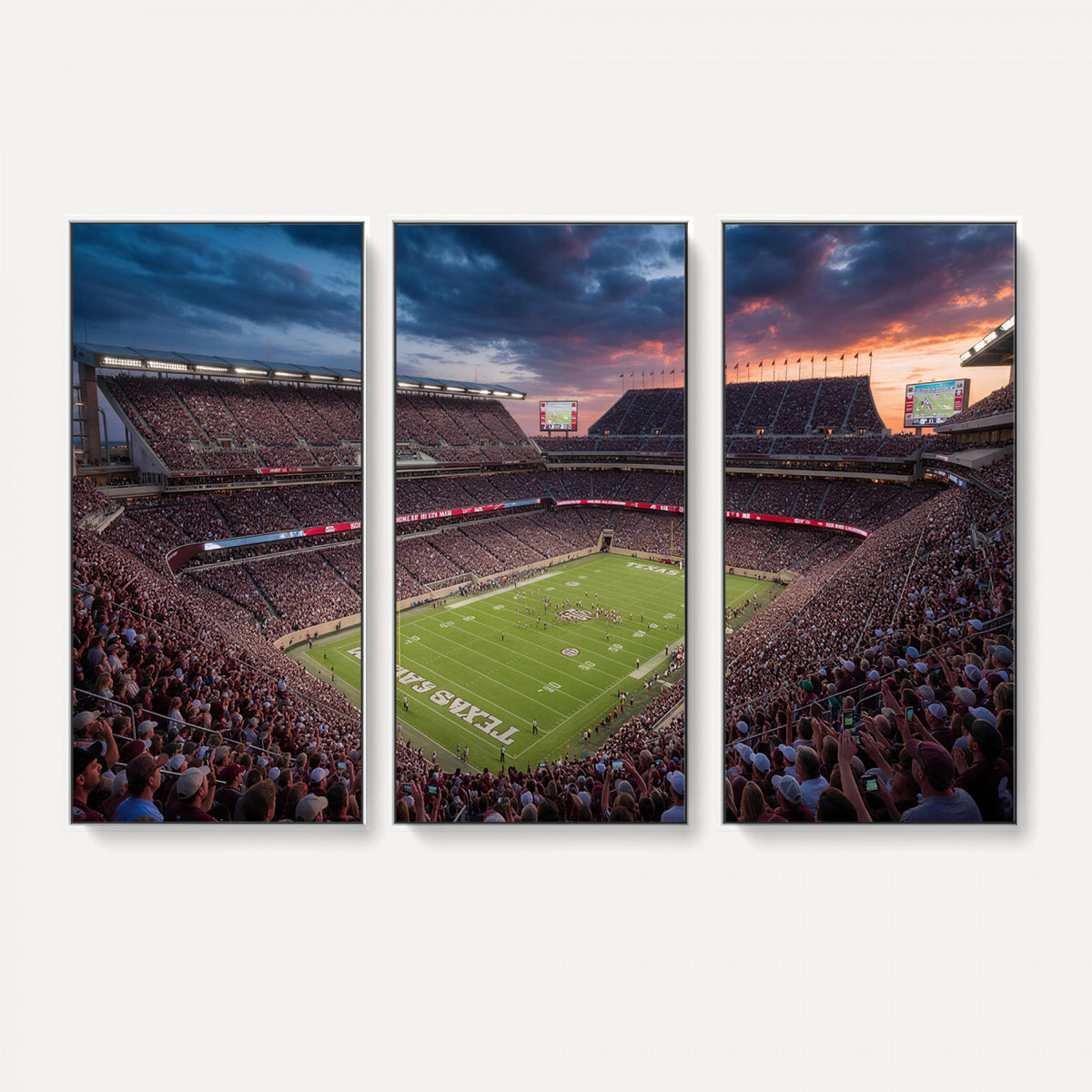 55475837-MGV-CV-36X24 - Stadium Wall Art Canvas Print