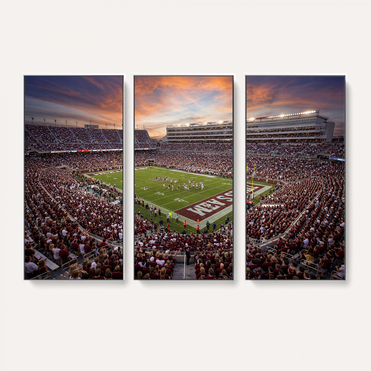66624578-MGV-CV-36X24 - Stadium Wall Art Canvas Print