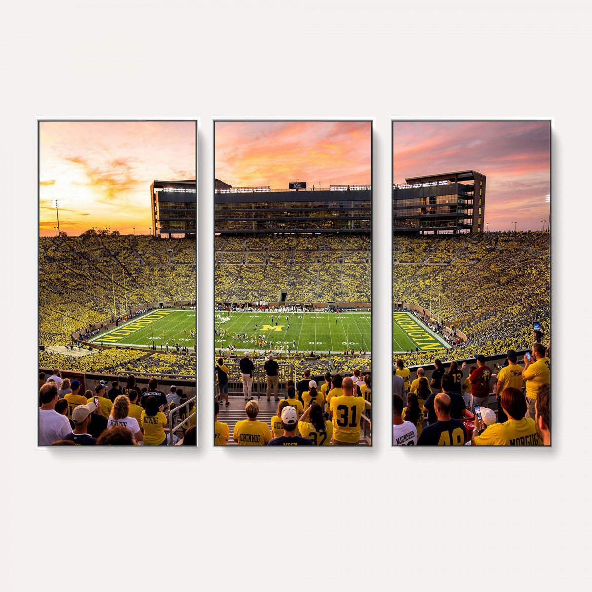 27265223-MGV-CV-36X24 - Stadium Wall Art Canvas Print