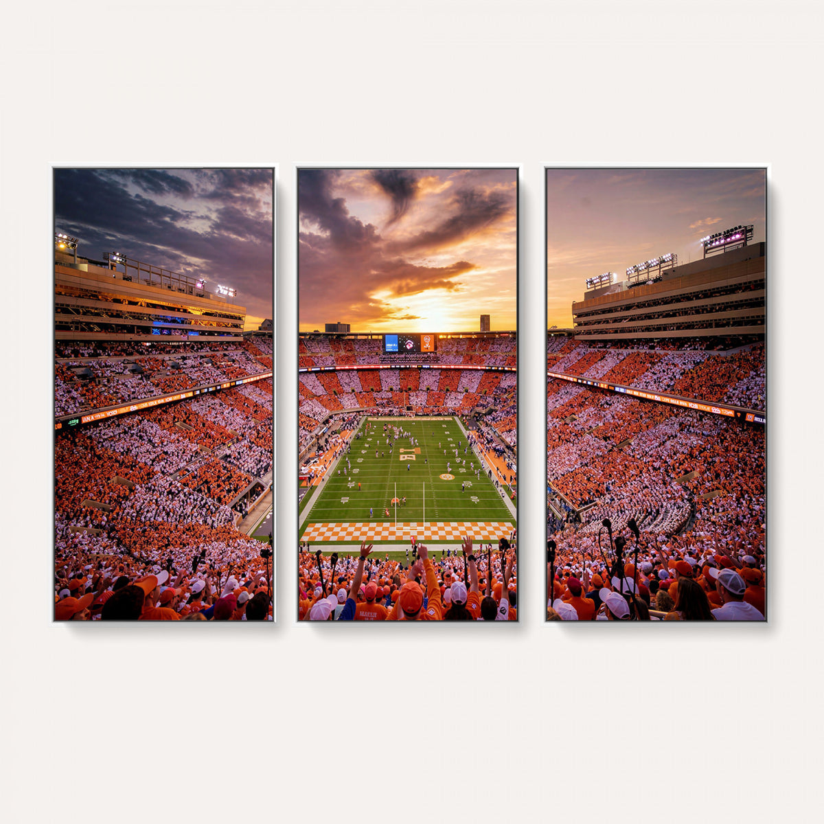 68184875-MGV-CV-36X24 - Stadium Wall Art Canvas Print