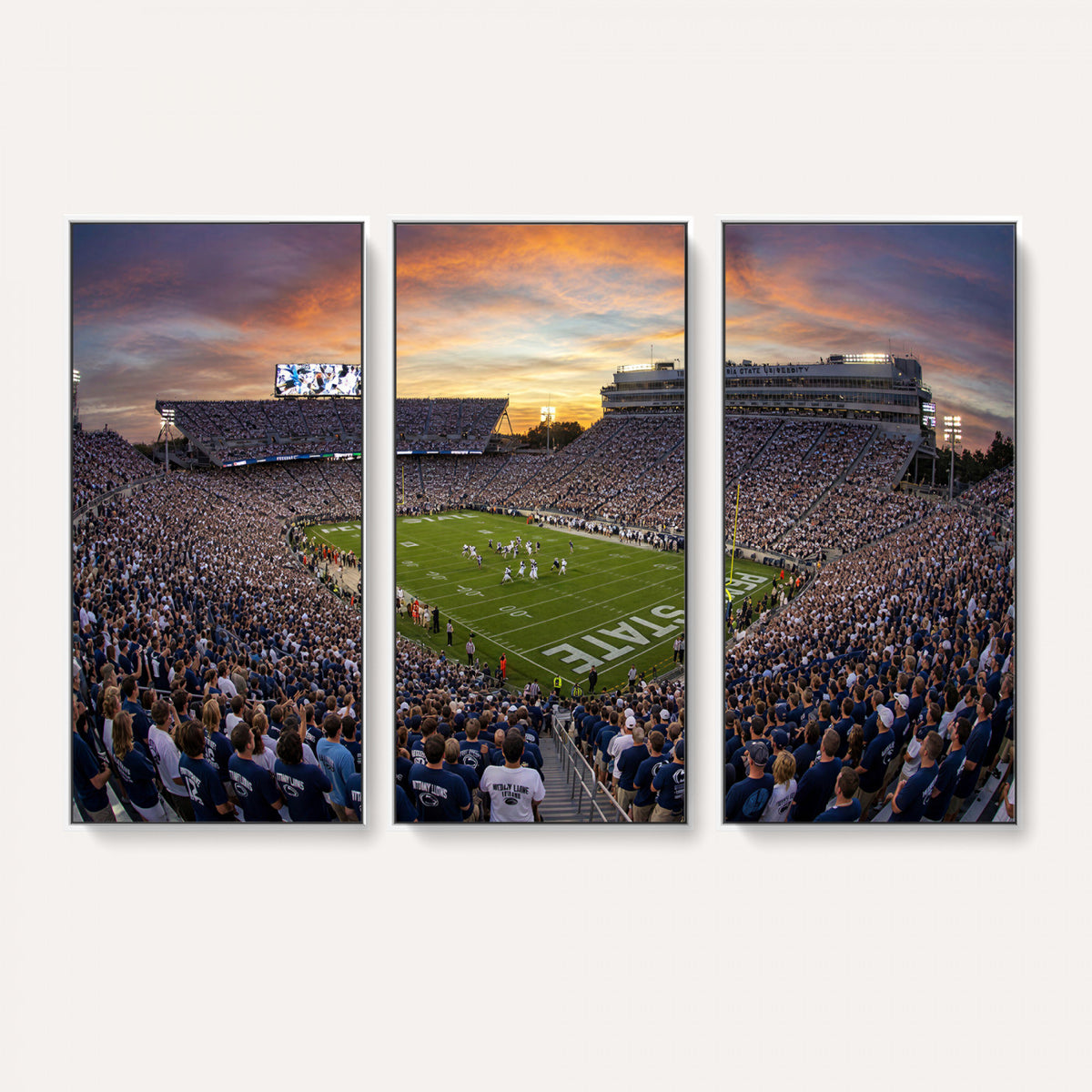 29008668-MGV-CV-36X24 - Stadium Wall Art Canvas Print