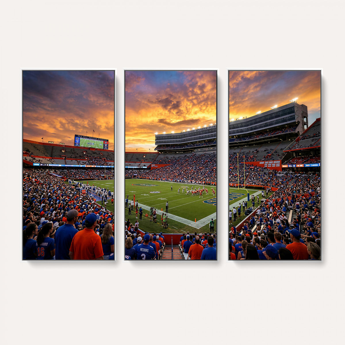 23829865-MGV-CV-36X24 - Stadium Wall Art Canvas Print