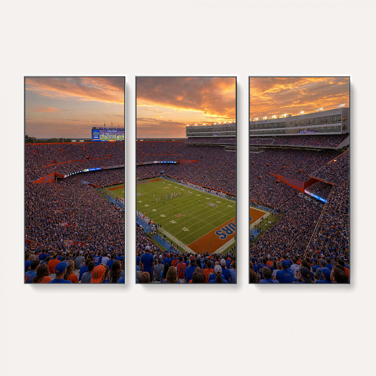48009171-MGV-CV-36X24 - Stadium Wall Art Canvas Print