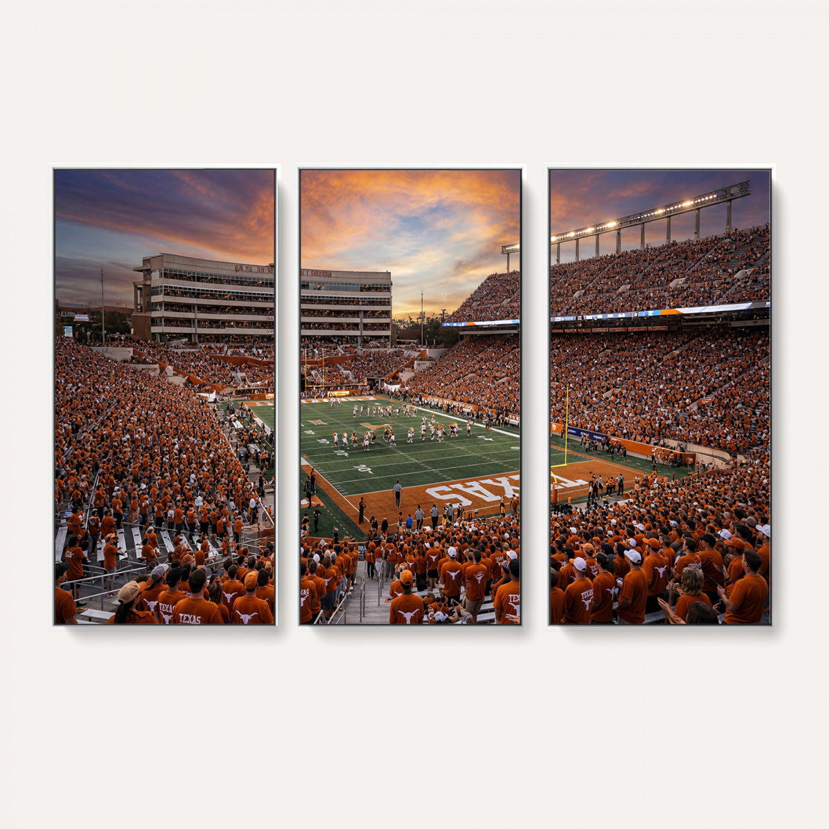 23560699-MGV-CV-36X24 - Stadium Wall Art Canvas Print