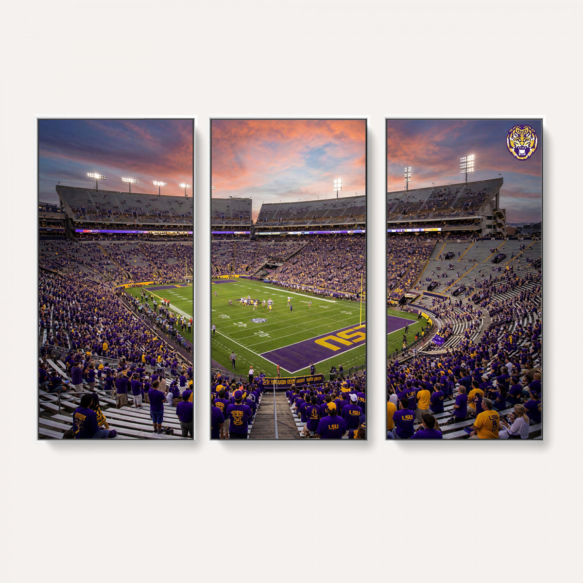 20281385-MGV-CV-36X24 - Stadium Wall Art Canvas Print