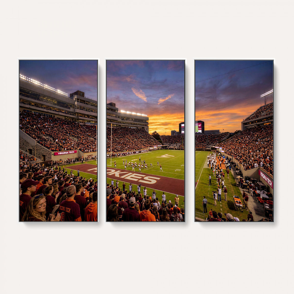 87141841-MGV-CV-36X24 - Stadium Wall Art Canvas Print