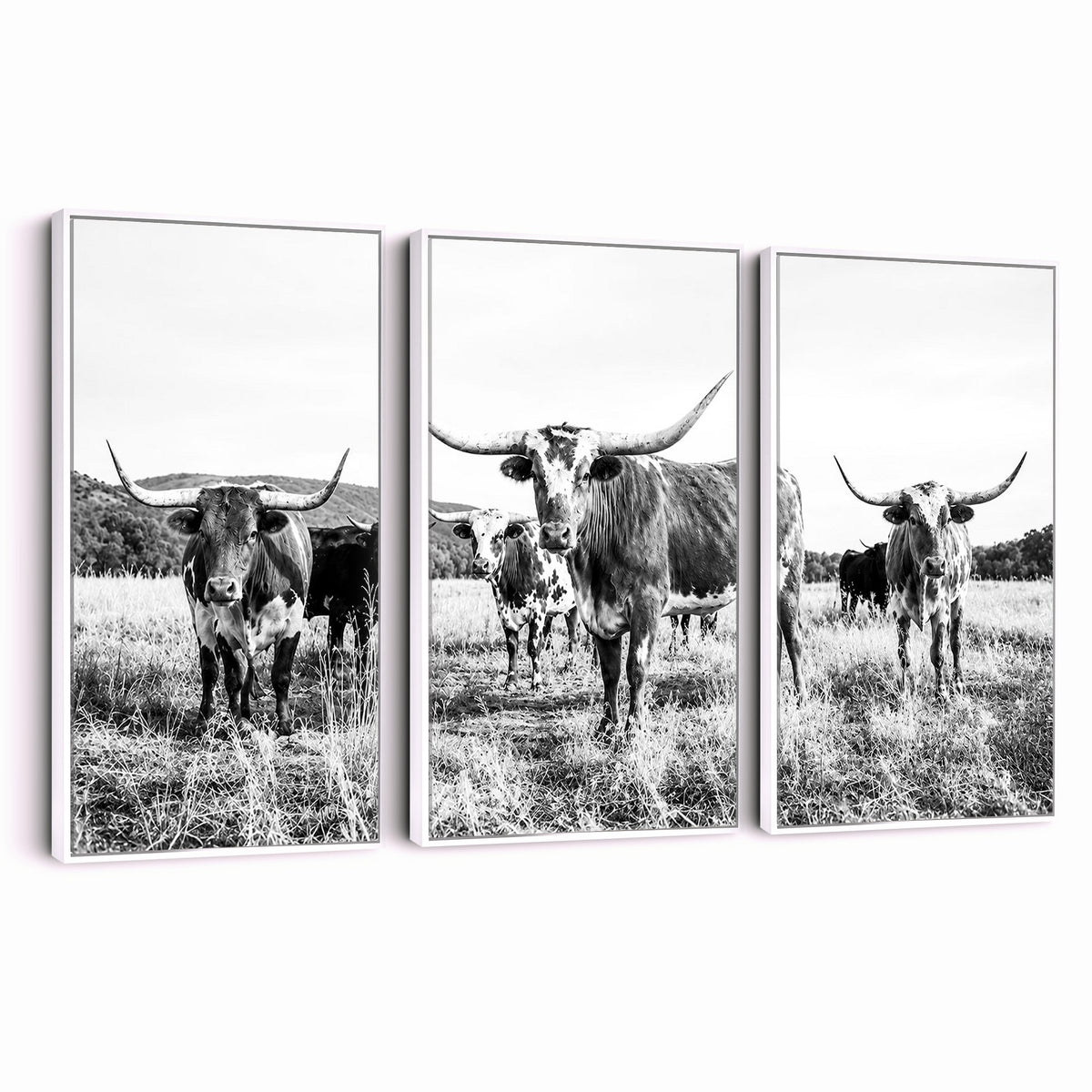 73228277-MGV-CV-48X32-3P - Black and White Longhorn Cattle Canvas Print, Western Ranch Wall Decor