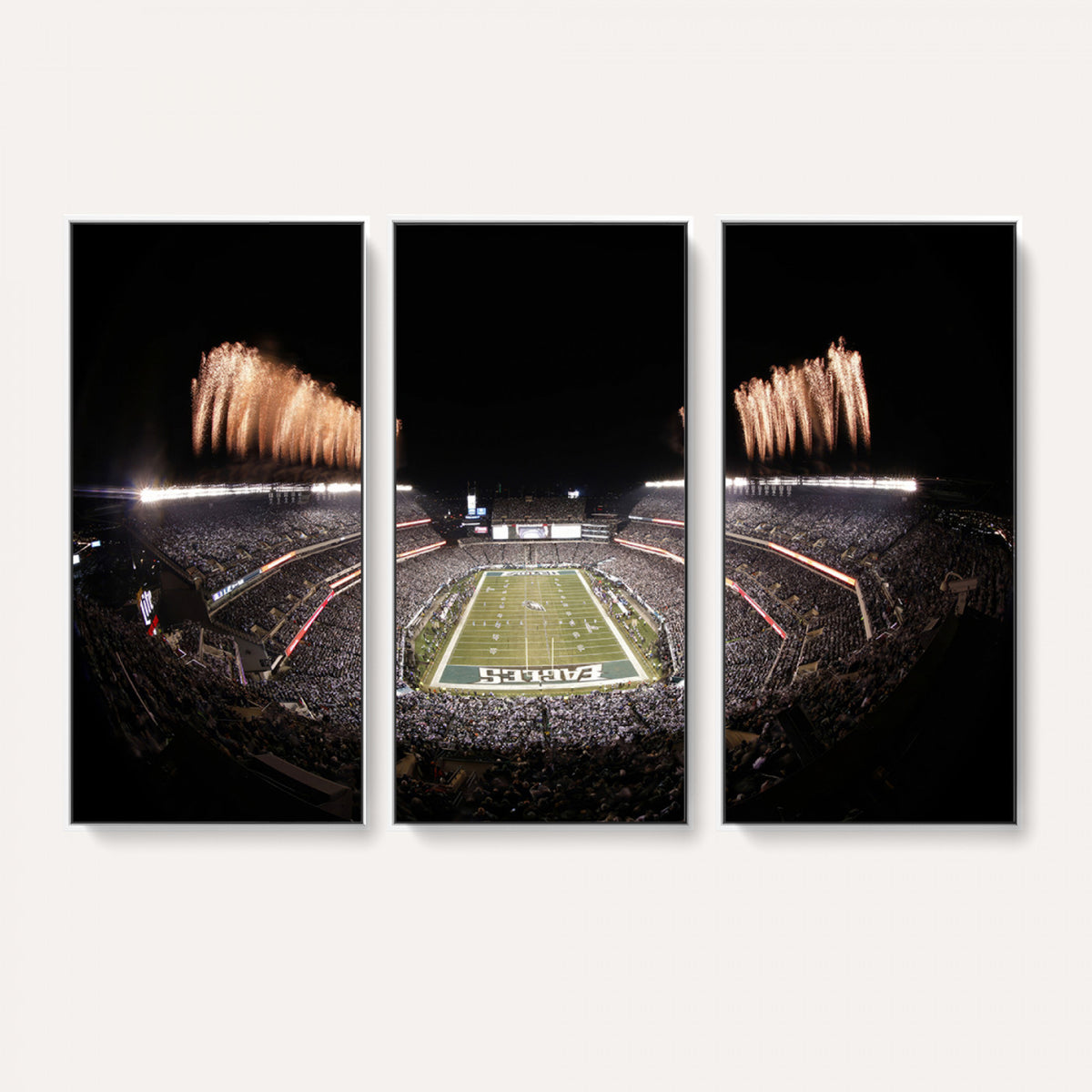 48893-MGV-CV-36X24 - Eagles Field Stadium Wall Art, Lincoln Financial Field
