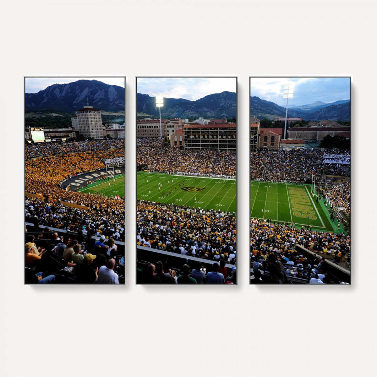 60552-MGV-CV-36X24 - Folsom Field, University of Colorado Buffaloes Football