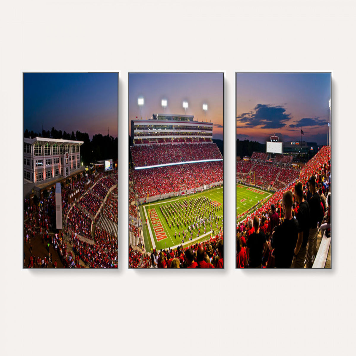 87655-MGV-CV-36X24 - NC State Wolfpack Football Team Print - Raleigh Carter-Finley Stadium Wall Art Canvas Print