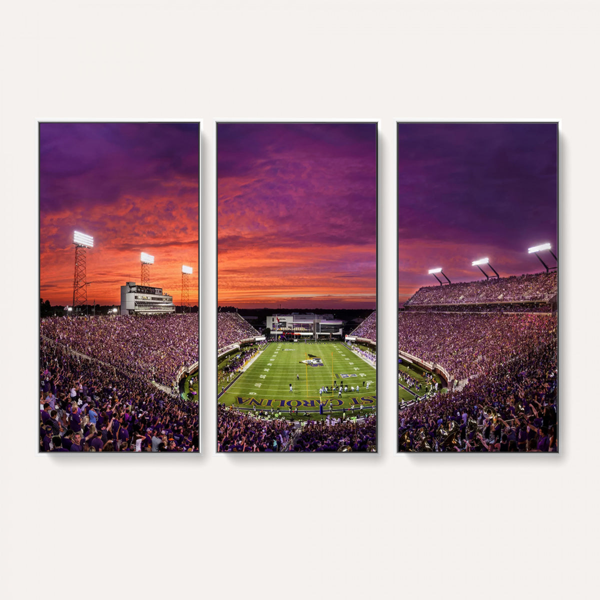 88575-MGV-CV-36X24 - East Carolina University Pirates Football Print Canvas- Greenville Dowdy-Ficklen Stadium Wall Art