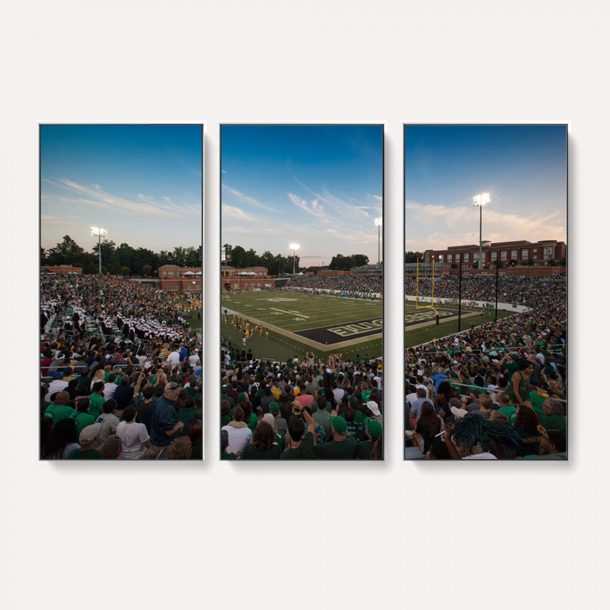 12290-MGV-CV-36X24 - University of Charlotte 49ers Football Team Print - Charlotte Jerry Richardson Stadium Wall Art