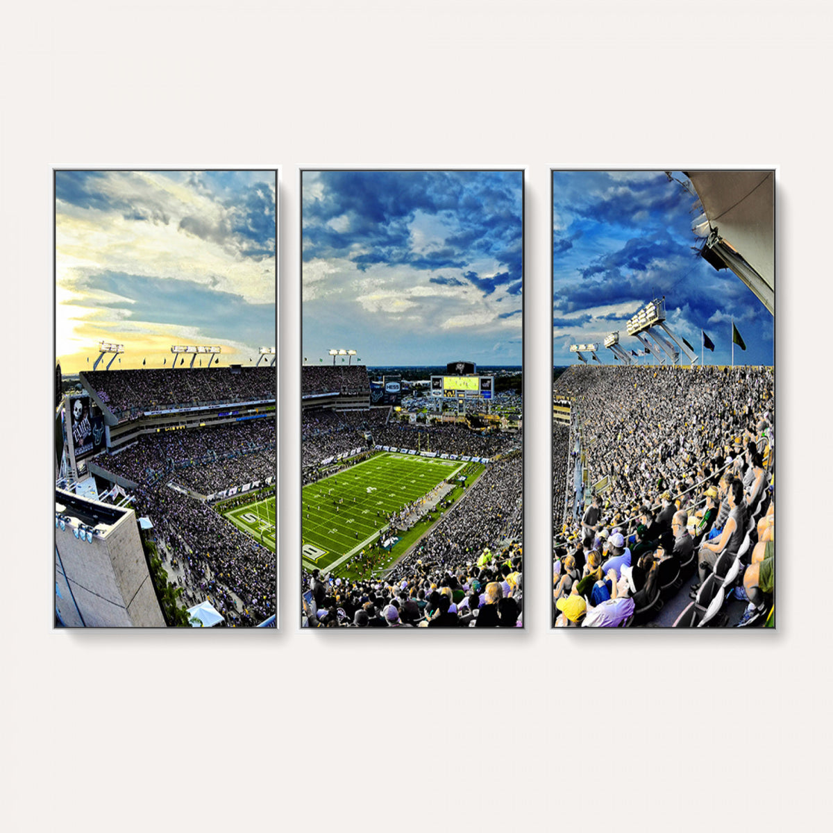 23788-MGV-CV-36X24 - Framed USF Bulls Football Team Print - Tampa Raymond James Stadium Wall Art Canvas Print