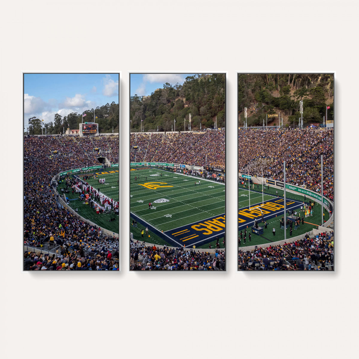 38054-MGV-CV-36X24 - University of California Golden Bears Football Team Print - Berkeley California Memorial Stadium Art