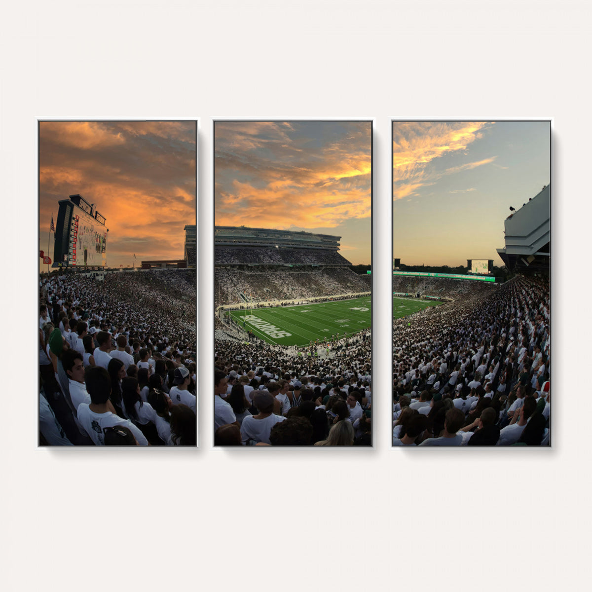 99155-PAN-FL-20X10 - Michigan State Spartans Football Team Print - East Lansing Spartan Stadium Wall Art Canvas Print