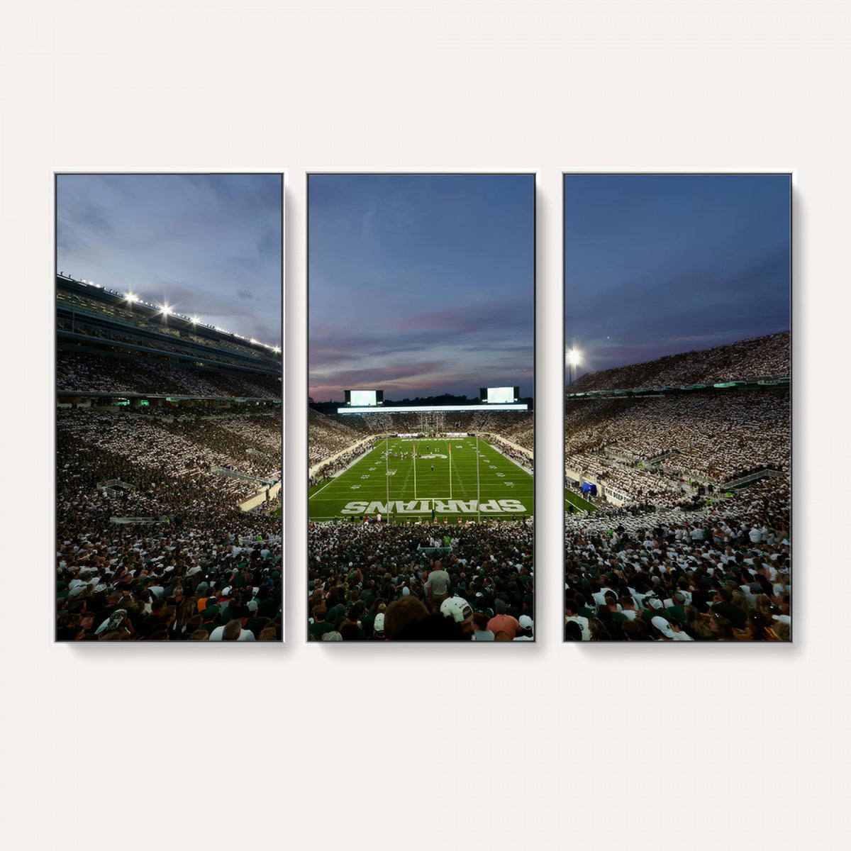 90831-PAN-FL-20X10 - Michigan State Spartans Football Team Print - East Lansing Spartan Stadium Canvas Print