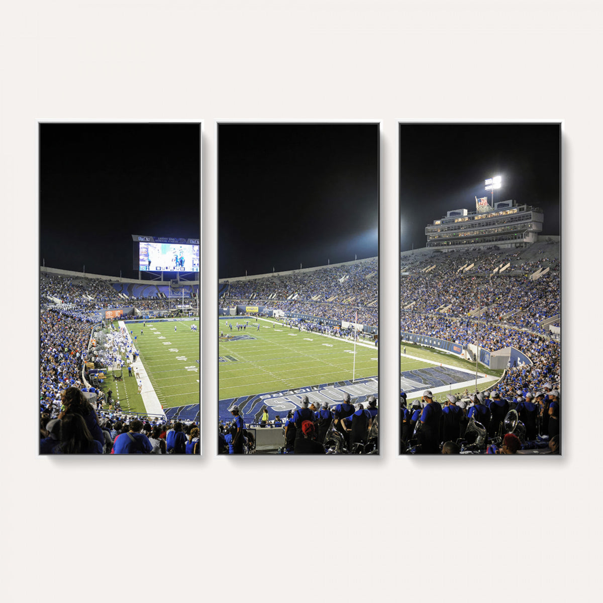 10894-PAN-FL-20X10 - University of Memphis Tigers Football Team Print - Memphis Simmons Bank Liberty Stadium Wall Art