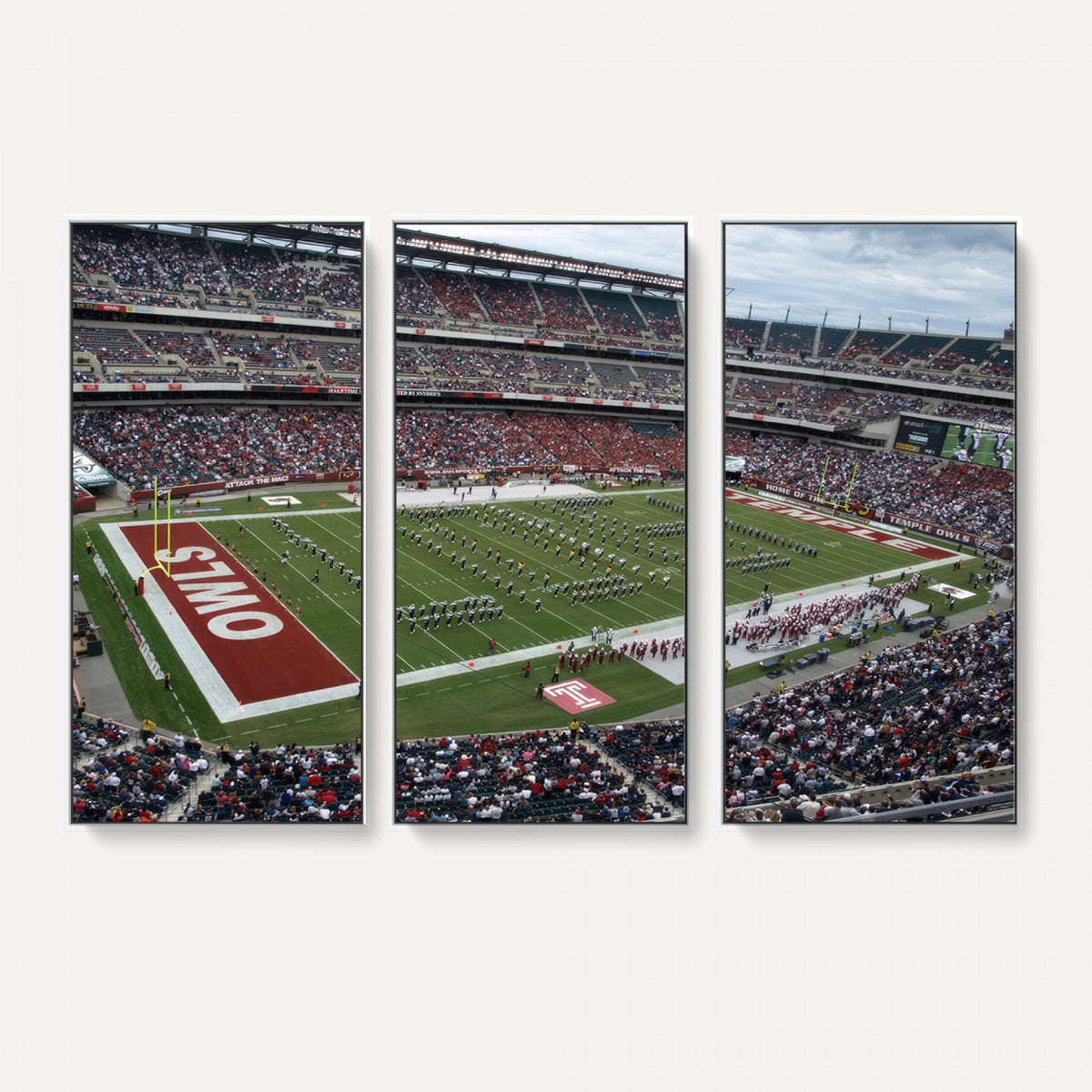15310-PAN-FL-20X10 - The Temple University Owls Athletics Team Print - Philadelphia Lincoln Financial Field Stadium Wall