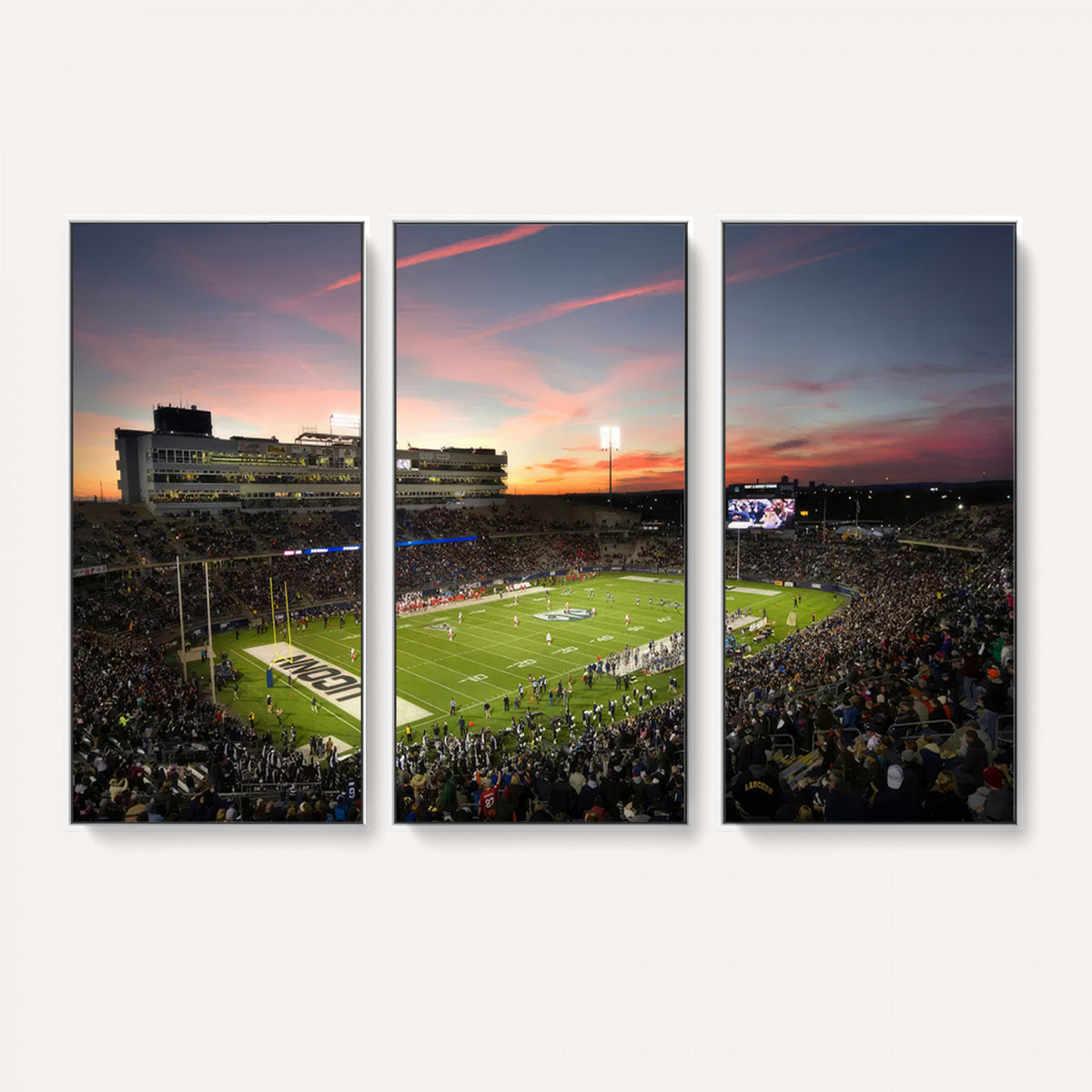 64416-MGV-CV-36X24 - The University of Connecticut UCONN Huskies Football Team Print, Framed and Ready to Hang