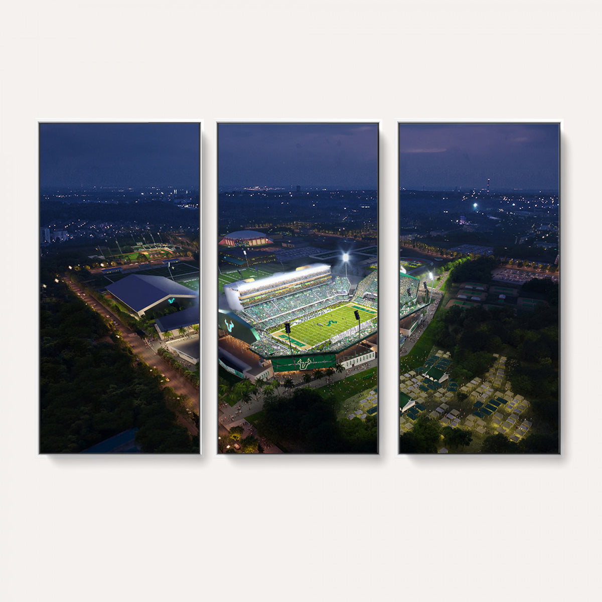 27554-MGV-CV-36X24 - The University of South Florida Bulls Football Team Print