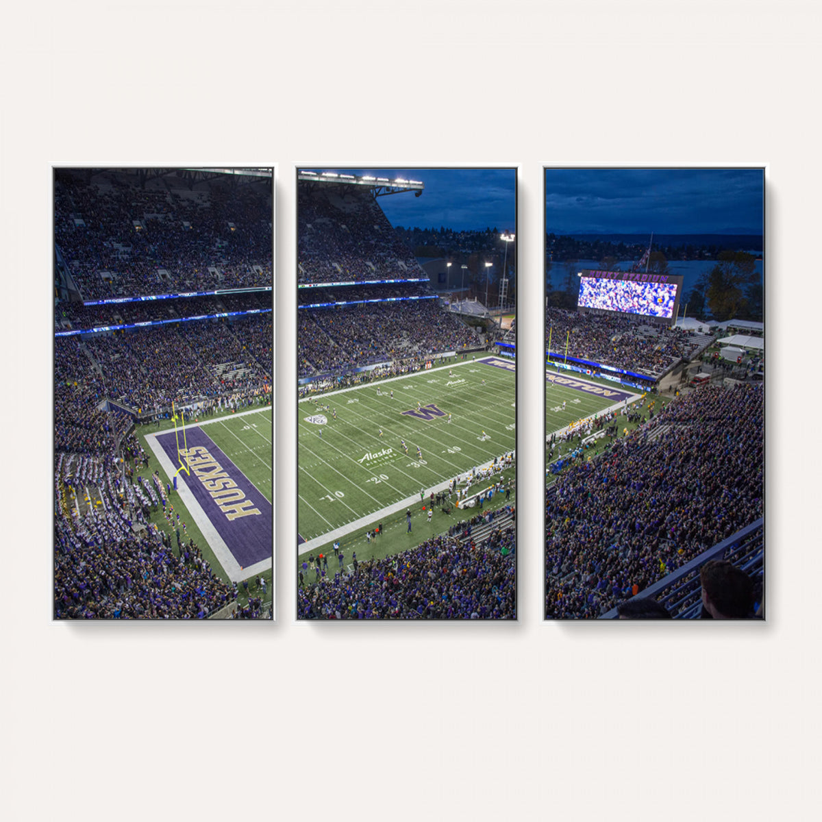 84780-MGV-CV-36X24 - The University of Washington Huskies Football Team Print, Framed and Ready to Hang