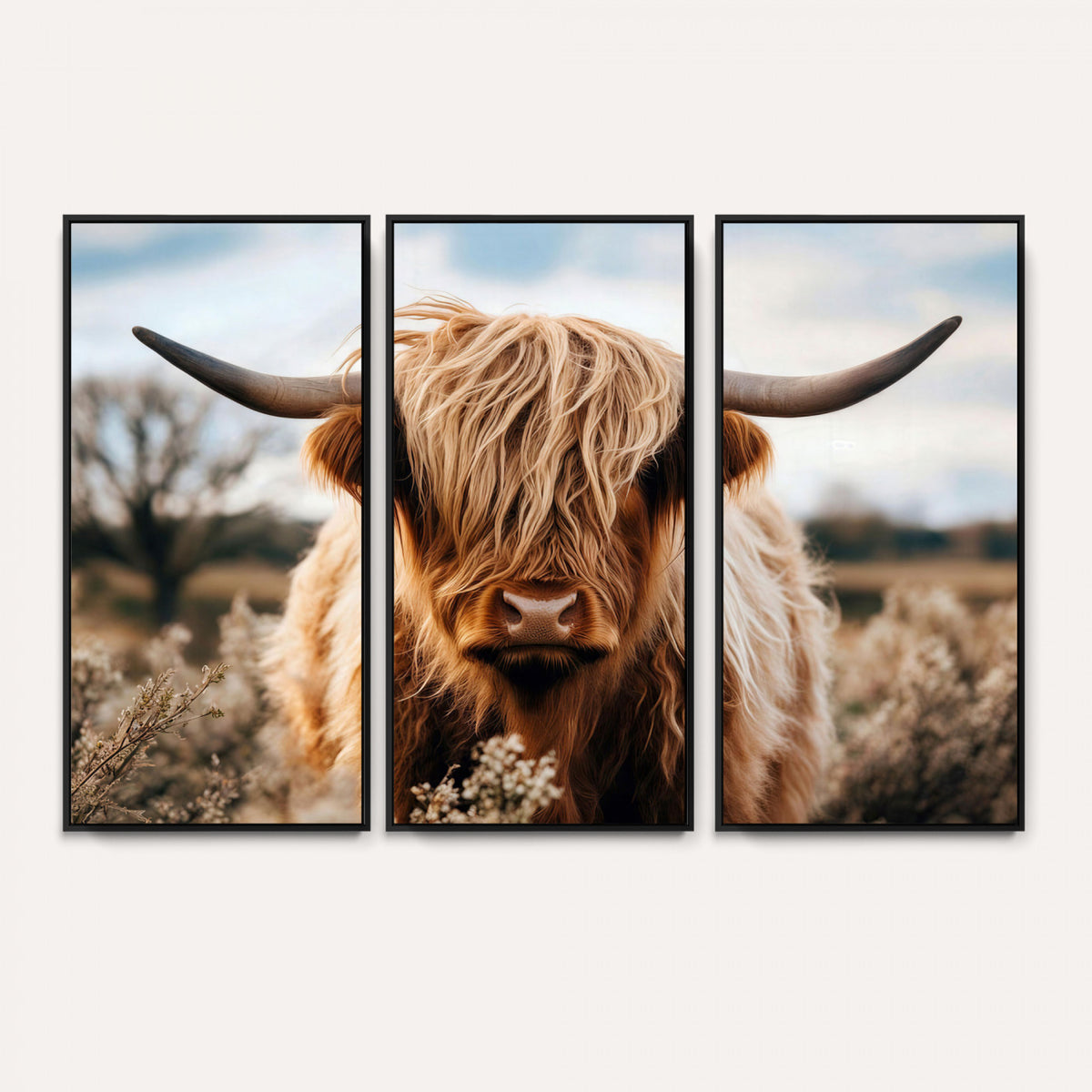 55903-_Poster-30x20 - Scottish Cow Longhorn Wall Art Canvas Print