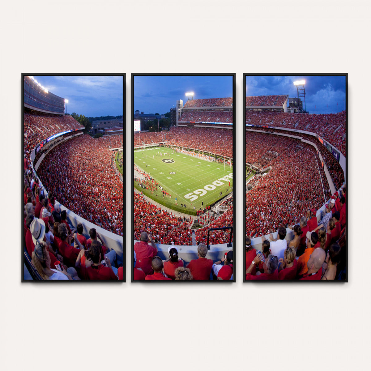 10244378-MGV-CV-36X24 - Dooley Stadium Wall Art, Sports Arena Canvas Print, Dooley Field, Home Bar Wall Decor