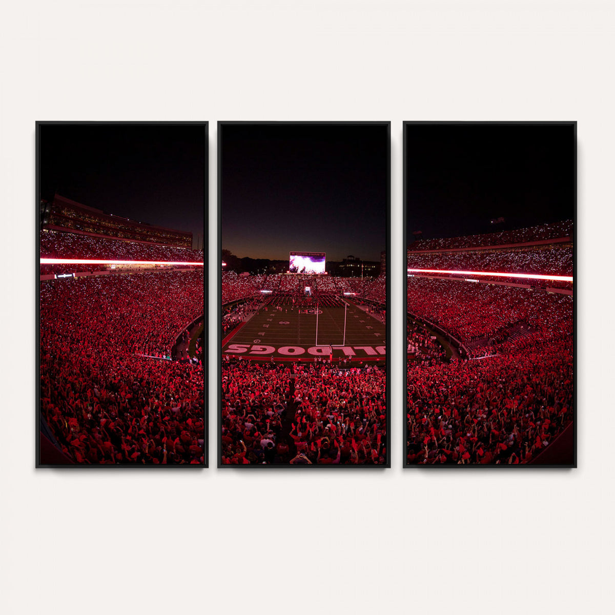 38331045-MGV-CV-36X24 - Dooley Stadium Wall Art, Sports Arena Canvas Print, Dooley Field Sanford Stadium
