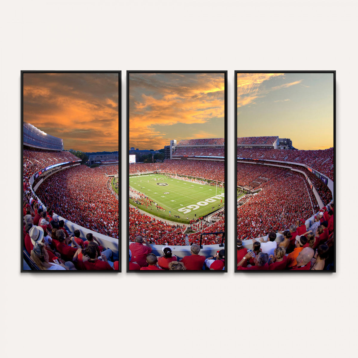 73680988-MGV-CV-36X24 - Dooley Stadium Wall Art, Sports Arena Canvas Print, Dooley Field, Framed and Ready to Hang