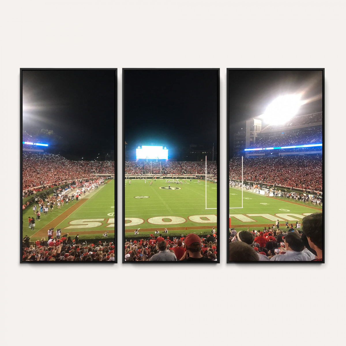 16230786-MGV-CV-36X24 - Dooley Stadium Wall Art, Sports Arena Panoramic Canvas Print, Modern Stadium Landscape Artwork for Home, Office