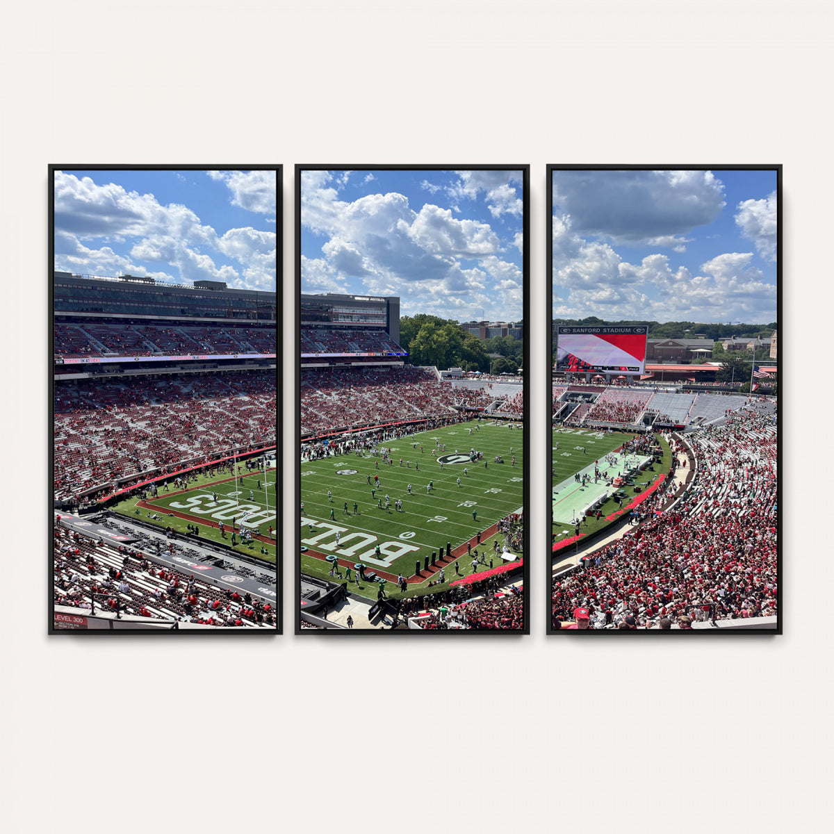10665453-MGV-CV-36X24 - Georgia Bulldogs Stadium Wall Art Canvas Print, Sanford, Framed and Ready to Hang