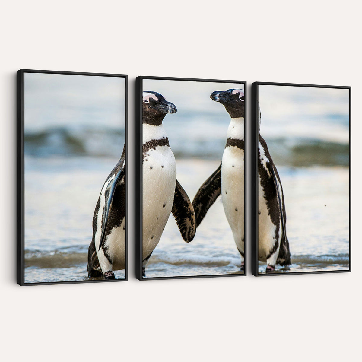 64870405-MGV-TP-30X20 - African Penguins Boulders Beach Wall Art Canvas Print, Cute Penguin Couple Photo Print