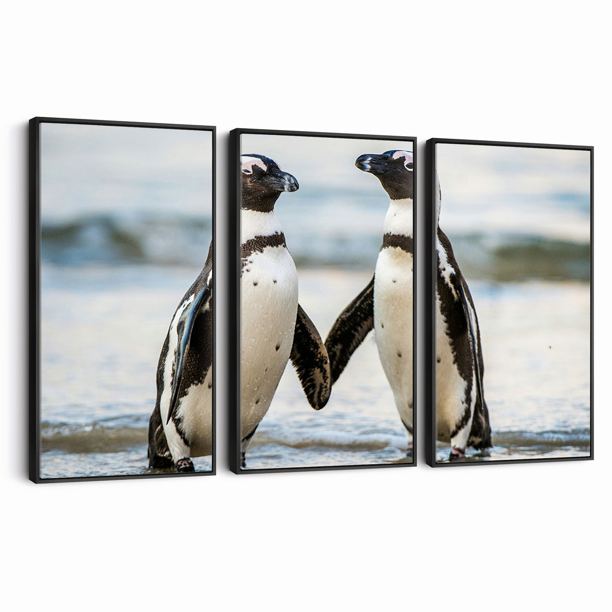 64870405-MGV-TP-30X20 - African Penguins Boulders Beach Wall Art Canvas Print, Cute Penguin Couple Photo Print