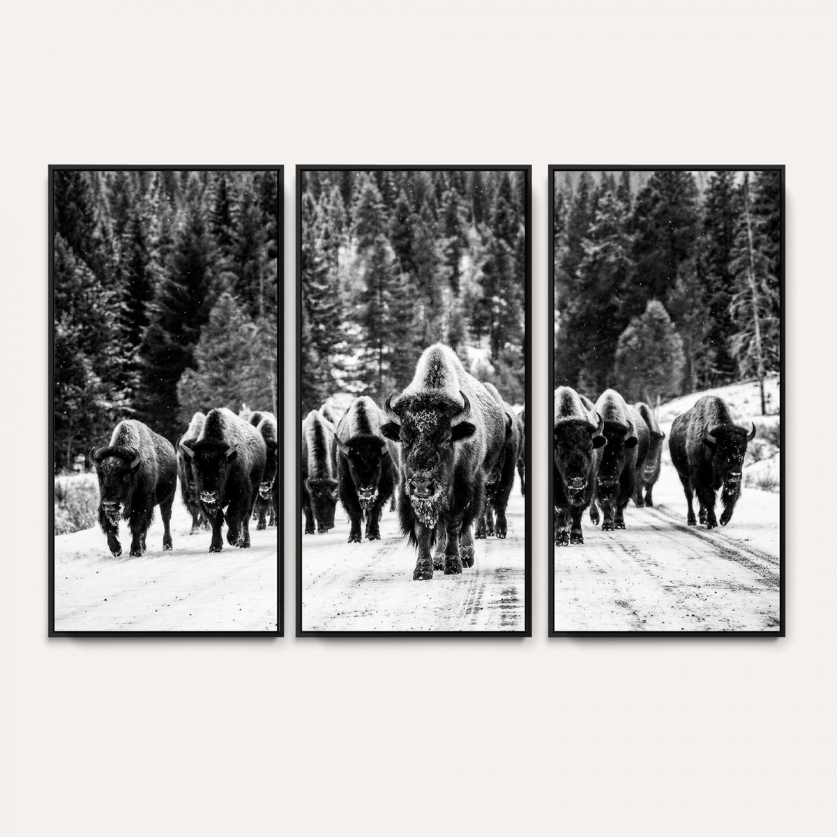 79337077-MGV-CV-36X24 - Black and White Bison Canvas Art, American Buffalo Print, Winter Wildlife Photography, Rustic Forest Wall Decor, Large Statement Nature Gift