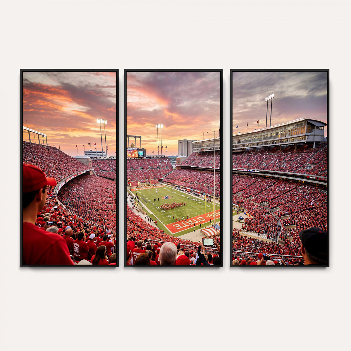 94754966-MGV-CV-36X24 - Stadium Wall Art Canvas Print