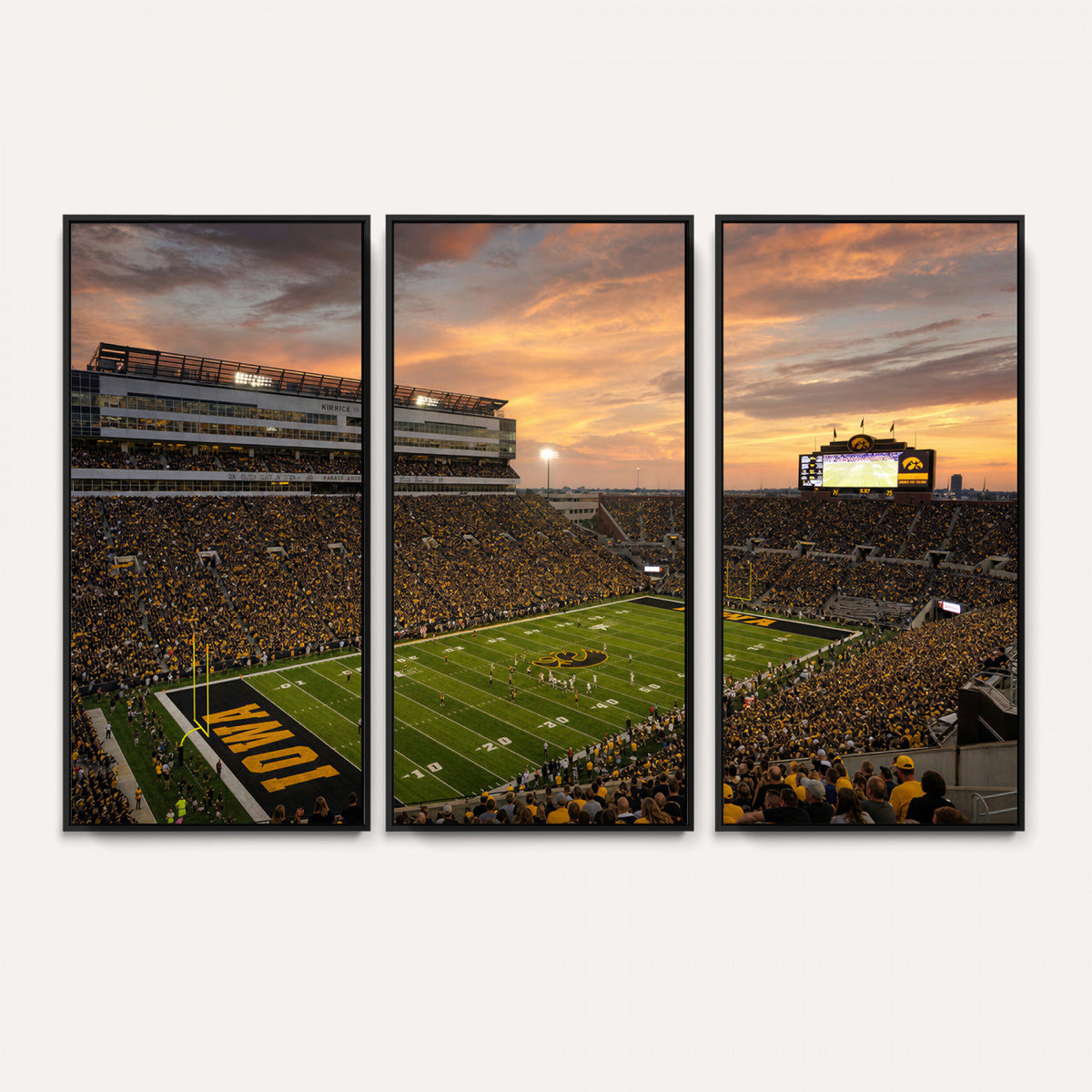 84993181-MGV-CV-36X24 - Stadium Wall Art Canvas Print