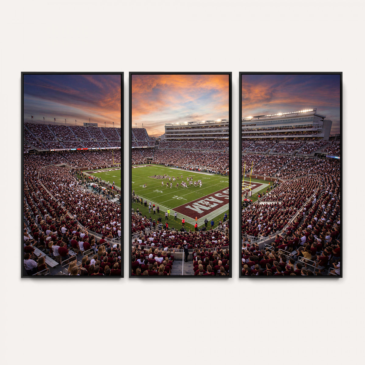 66624578-MGV-CV-36X24 - Stadium Wall Art Canvas Print