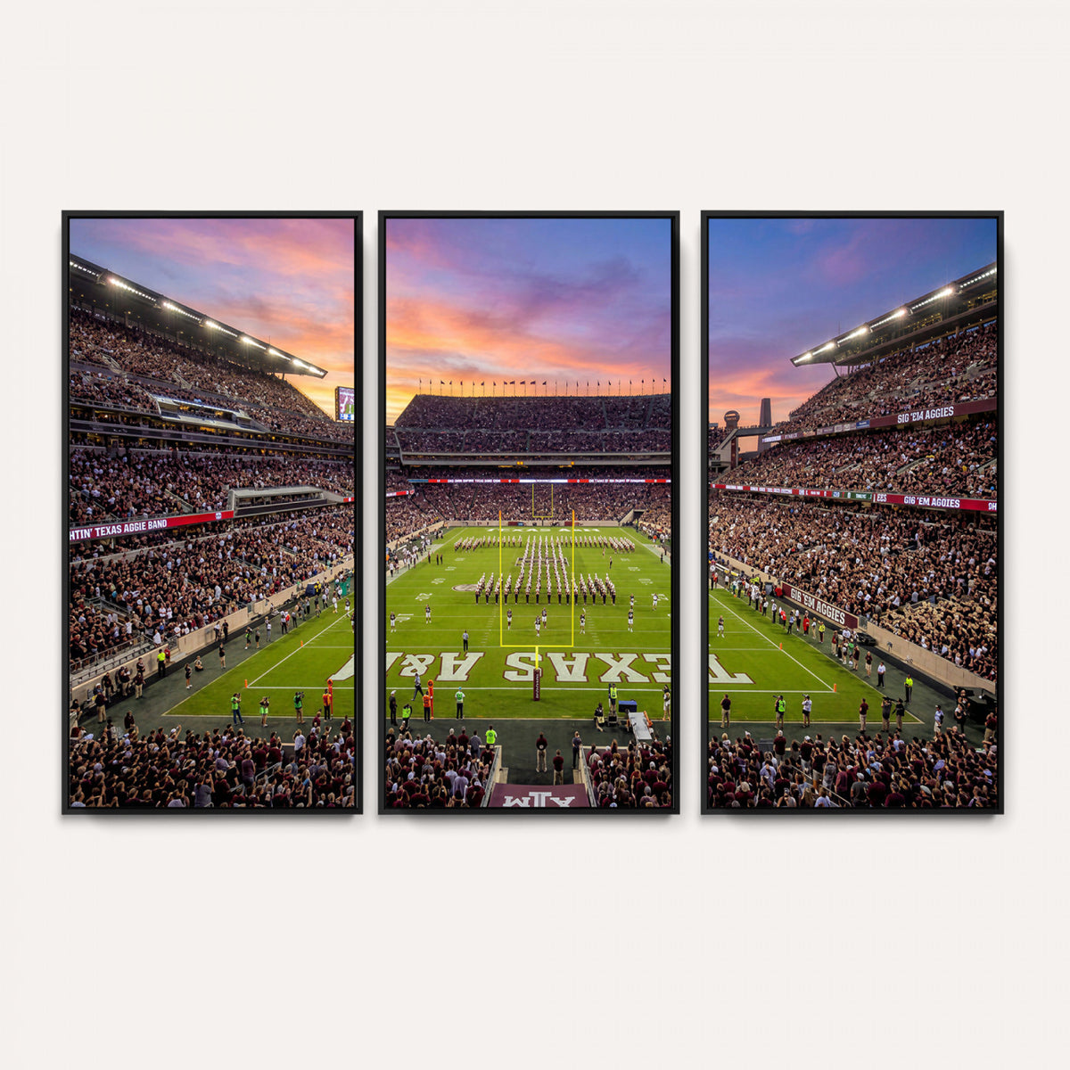 65952219-MGV-CV-36X24 - Stadium Wall Art Canvas Print